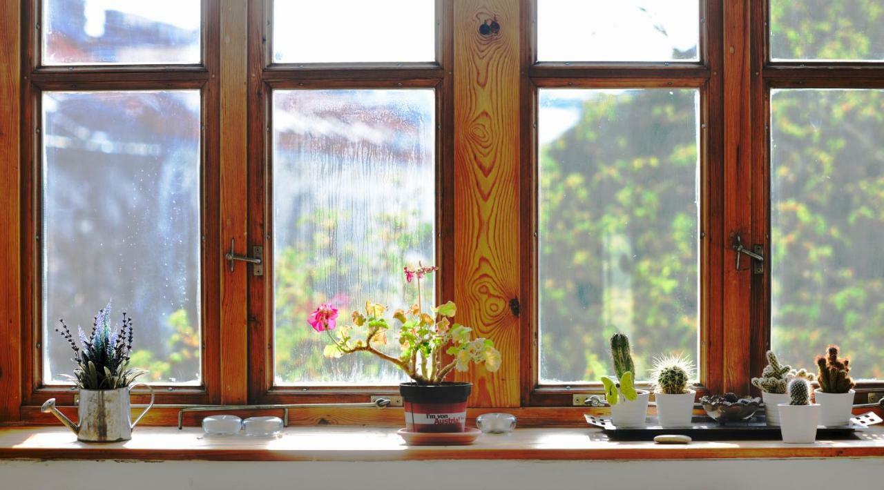 Vienna'S Most Charming Home Екстер'єр фото
